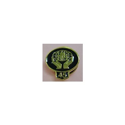  Number 2 Lapel Pin by StockPins - Number Pins for Two Years in  Service or Second Place Reward Pins, Service Pin and Year Pin for Backpack  Pins and Hat Pins: Jewelry