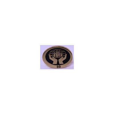 Pin - Lapel (30 year) Oval