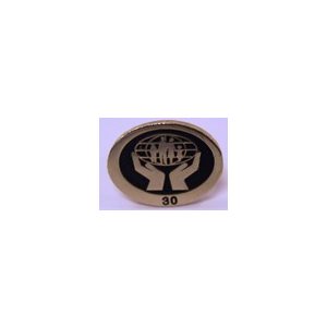 Pin - Lapel (30 year) Oval